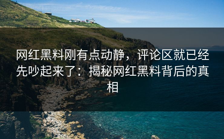 网红黑料刚有点动静,评论区就已经先吵起来了:揭秘网红黑料背后的真相 网红黑料刚有点动静,评论区就已经先吵起来了:揭秘网红黑料背后的真相