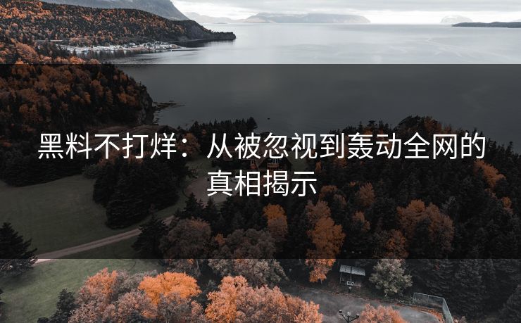 黑料不打烊:从被忽视到轰动全网的真相揭示